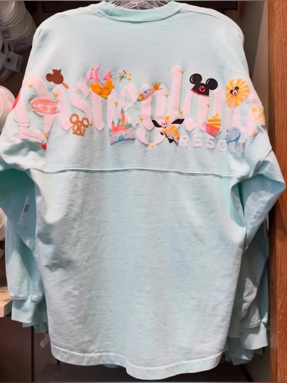 2026 Disneyland Parks Attractions Icons Mint Spirit Jersey Adult NEW